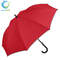paraguas rojo-ws