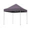 Carpa Carpa